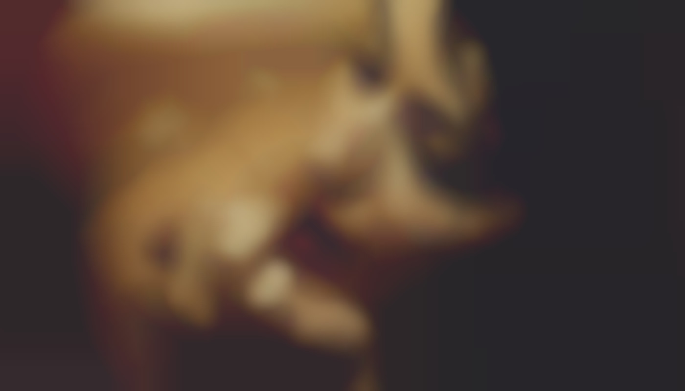 L'évolution des représentations artistiques dans les médias pour adultes en ligne